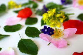 florithérapie