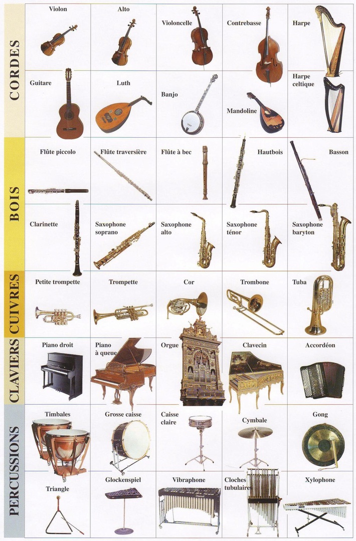 instrument à corde 4 lettres