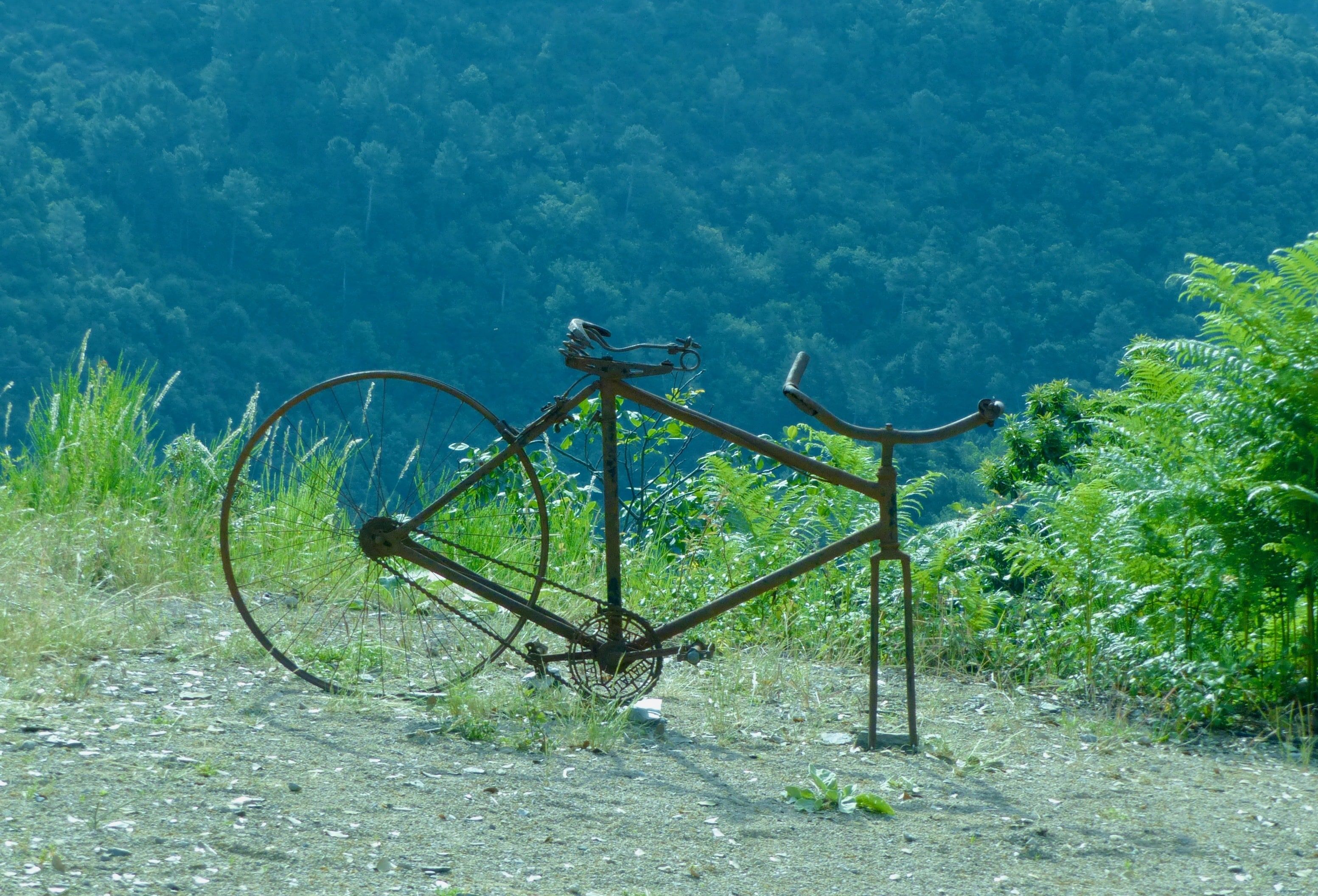Le vélo délaissé
