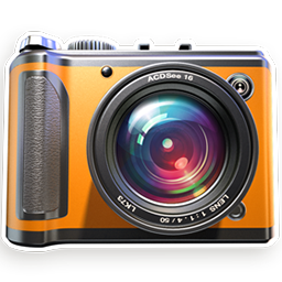 29303 Caetano ACDSee16